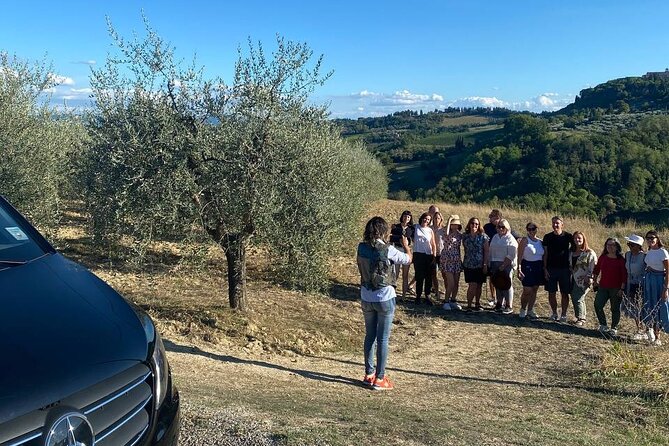Volterra Tour + Salt Mine by van from Lucca, Pisa or Livorno Port - Explore Tuscany with an Immersive Day Trip from Lucca, Pisa, or Livorno