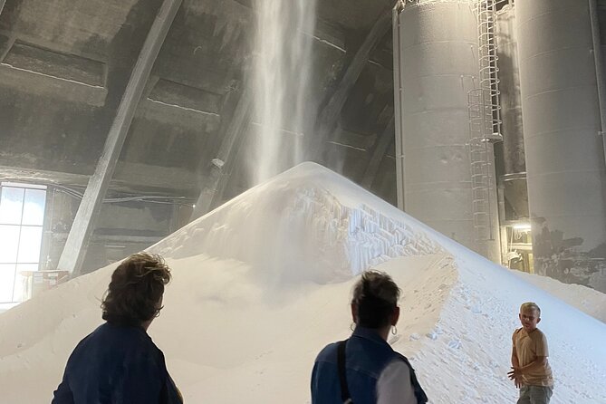 Volterra Tour + Salt Mine by van from Lucca, Pisa or Livorno Port - Who Will Appreciate This Tour?