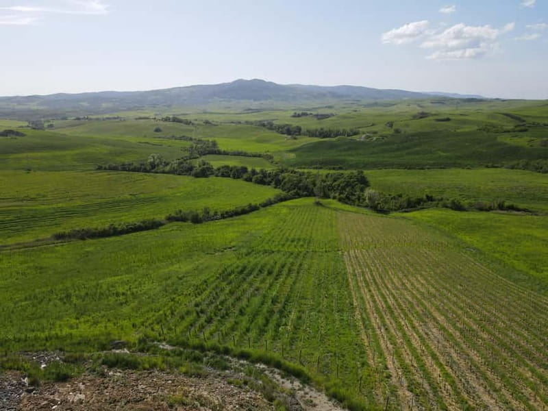 Volterra: Winery Guided Tour and Experience with Tasting - Key Points