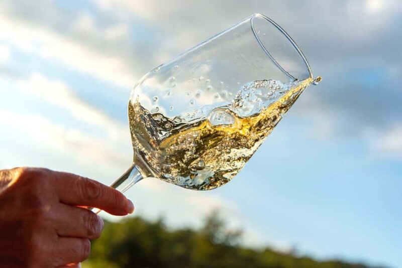 Volterra: Winery Tour with Tastings and Panoramic Views - Key Points