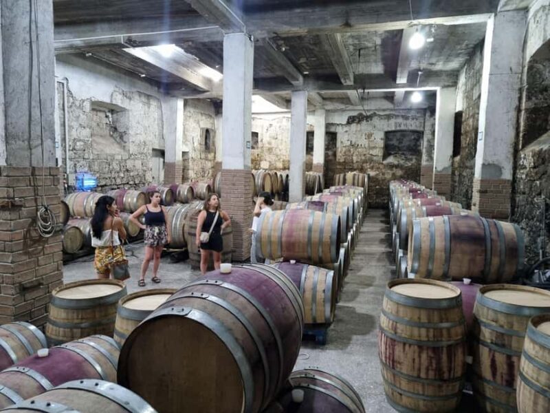 Voskevaz Winery Cellar Tour & Wine Tasting Experience - Why This Tour Stands Out Among Armenian Wine Experiences