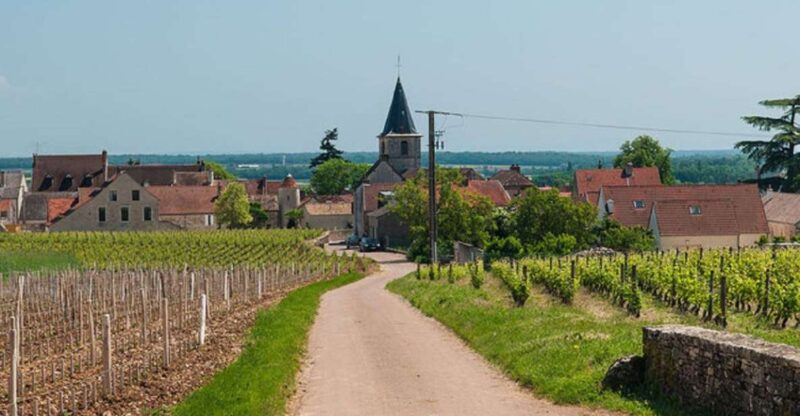 Vosne-Romanée: Private Vineyards Walking Tour with Tasting - Explore Burgundy’s Iconic Vineyards on Foot
