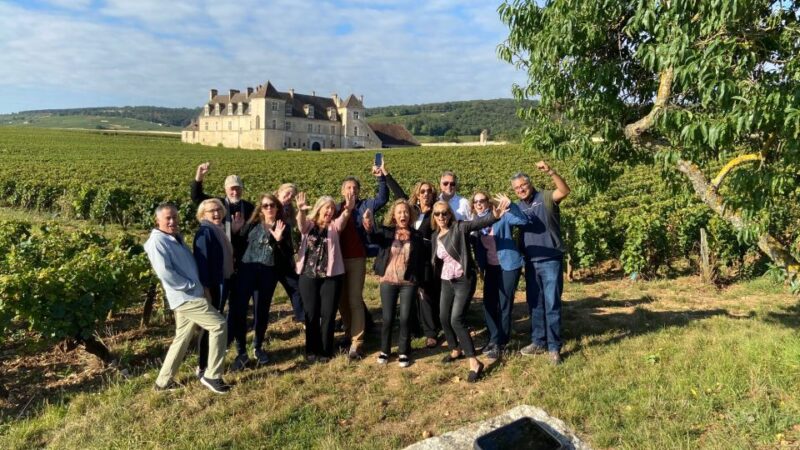 Vosne-Romanée: Private Vineyards Walking Tour with Tasting - Key Points