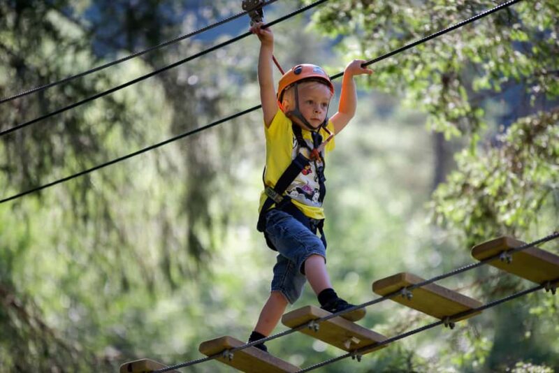 Voss High Rope Course: Mini & Micro Course - Key Points