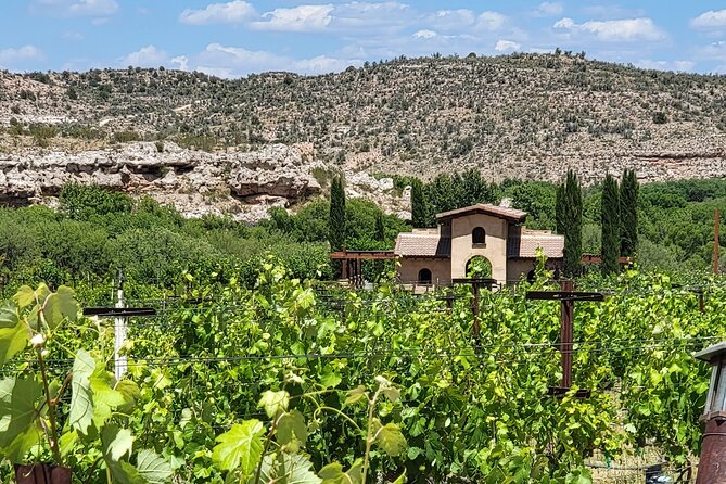 Voted Best in Sedona-Private Wine Tour of Vortex, Wine & Shopping - Practicalities and Transportation