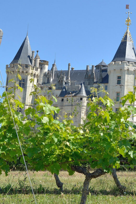 Vouvray wine half-day tour from Tours - What to Expect During Tasting Sessions