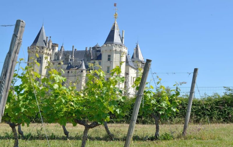 Vouvray wine half-day tour from Tours - The Guide and Tour Experience