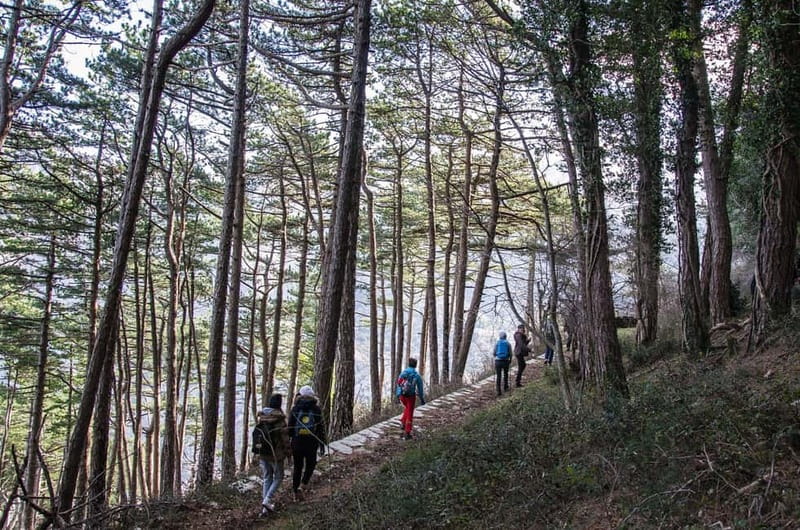 Vrmac Hiking Private Tour - Starting from the Pickup Points and Arriving at the Trails