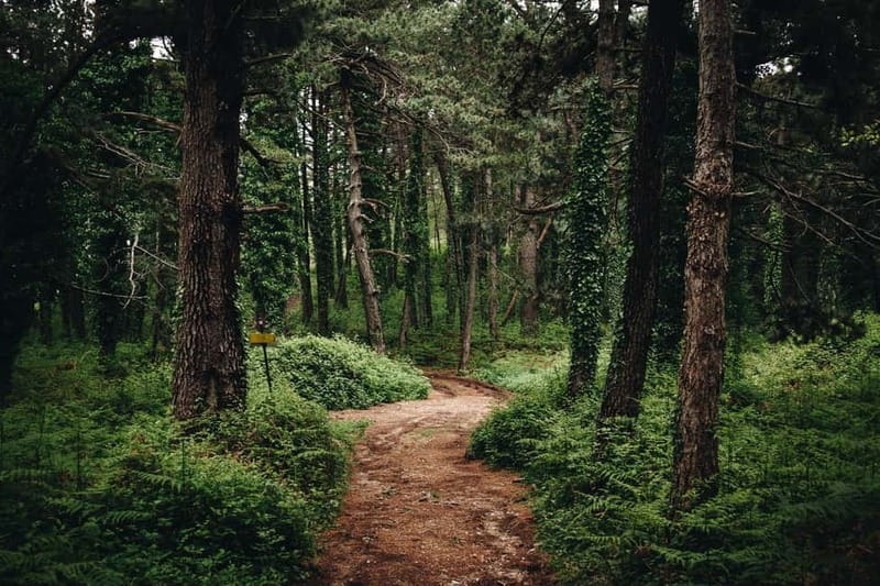 Vrmac Hill E-MTB Adventure - Frequently Asked Questions