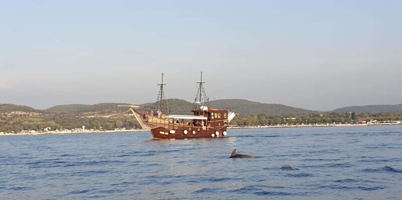 Vrsar: Dolphin Watching Boat Ride - Who Should Consider This Tour