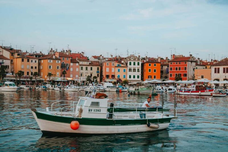 VRSAR: Night Boat Tour to Rovinj with Dolphin Watching - Key Points