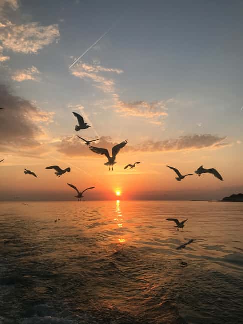 VRSAR: Night Boat Tour to Rovinj with Dolphin Watching - Scenic Drive Past Islets and Coves