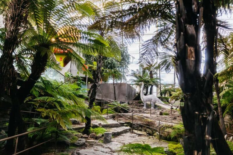 Vulcania Volcano Park Entry Ticket - Discover the Solar System in the On-Site Planetarium