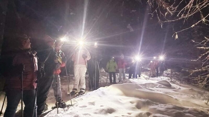 Vuokatti: Northern Lights Snowshoeing Adventure - Discover the Magic of Snowshoeing Under the Northern Lights in Vuokatti