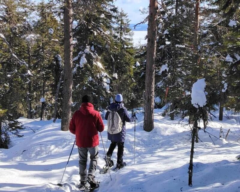 Vuokatti: Snowshoeing Adventure in the Forest - Learning How to Use Snowshoes Before the Trek