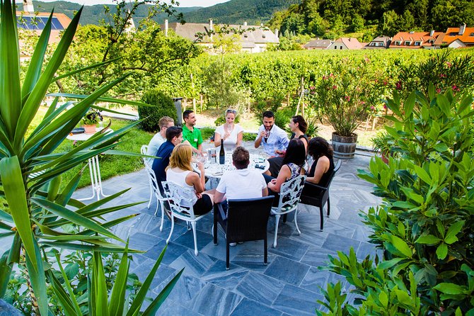 Wachau Valley Private Tour With Melk Abbey Visit And Wine Tastings From Wachau Valley Private Tour With Melk Abbey Visit And Wine Tastings From