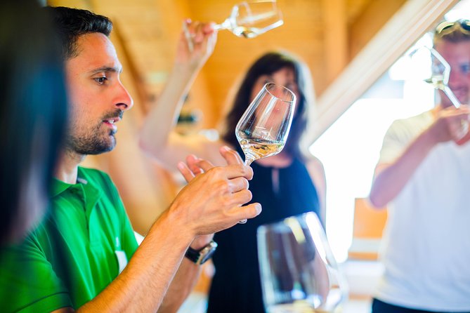 Wachau Valley Private Tour With Melk Abbey Visit and Wine Tastings from Vienna - The Marvel of Melk Abbey