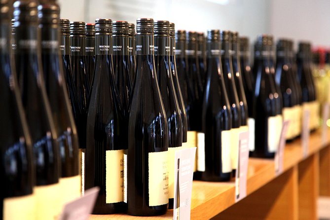 Wachau Valley Wine Tasting Bike Tour from Vienna - Lunch and Additional Expenses