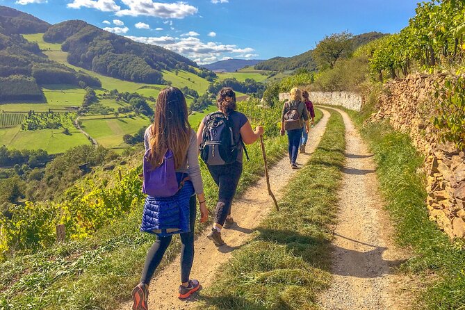 Wachau World Heritage Hike - Discover the Wachau World Heritage Site on a Guided Hike from Vienna