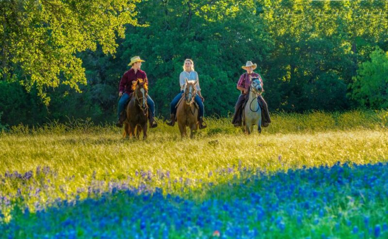 Waco: Horseback Riding Tour with Cowboy Guide - The Ranch Terrain and Scenic Views