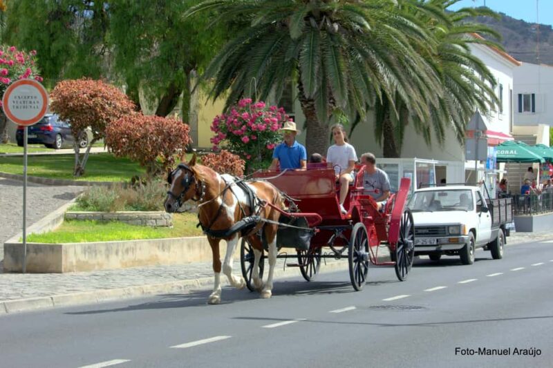 Wagon Ride Through Porto Santo - Experience a Relaxing Wagon Ride in Porto Santo, Madeira