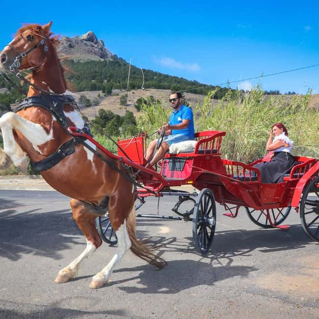 Wagon Ride Through Porto Santo - Key Points
