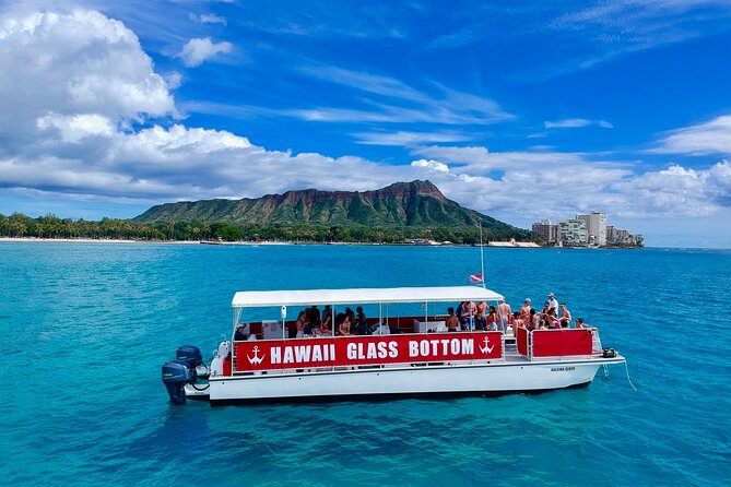 Waikiki Beach Glass Bottom Boat Cruise - Marine Life Encounters and Sightings
