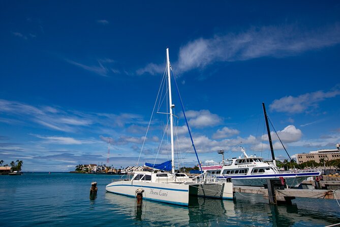 Waikiki Catamaran Adventure: Snorkel with Sea Turtles - Snorkeling: Encounters with Sea Turtles and Marine Fish