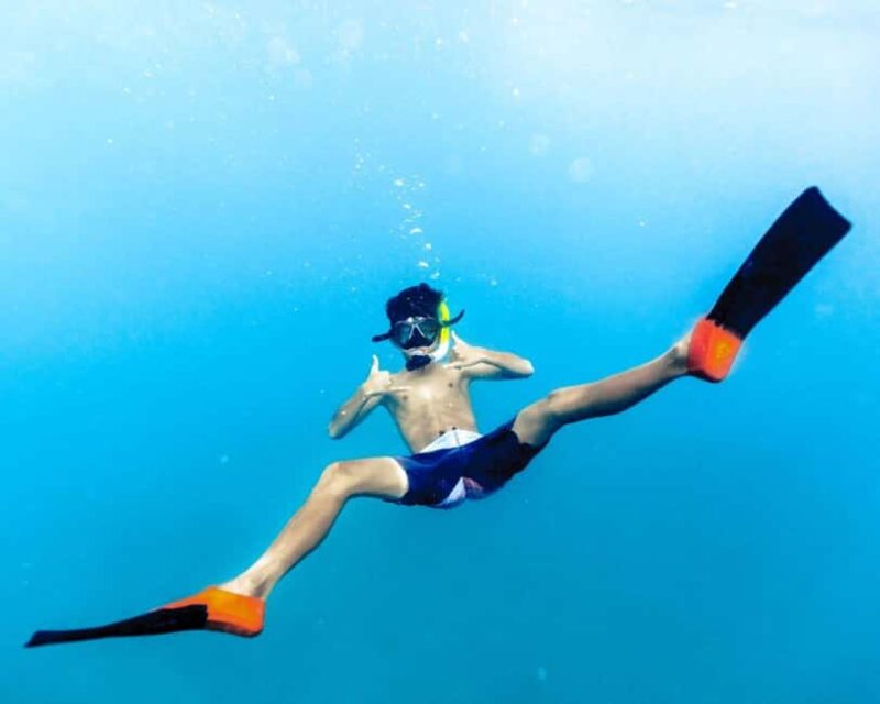 Waikiki Exclusive Snorkel + Lunch - The Experience Provider and Booking Flexibility