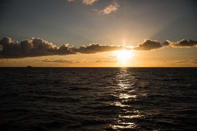 Waikiki Fireworks Dinner Cruise: Sail & Sparkle on Friday Nights - The Crew and Service Experience