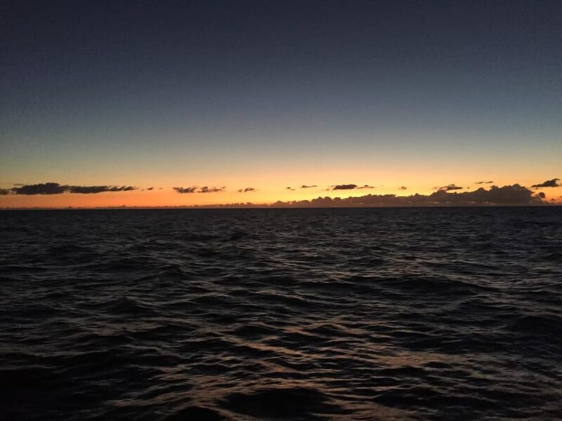 Waikiki: Friday Night Fireworks Catamaran Sail - Practical Details and Meeting Arrangements