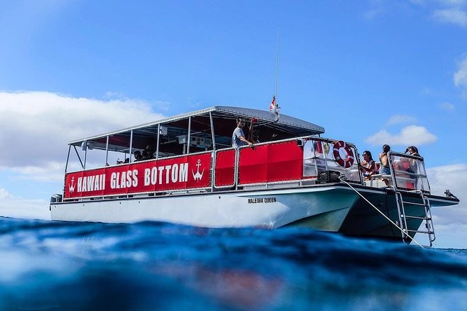 Waikiki Glass Bottom Boat Cruise - What You Will See: Marine Life and Coastal Views