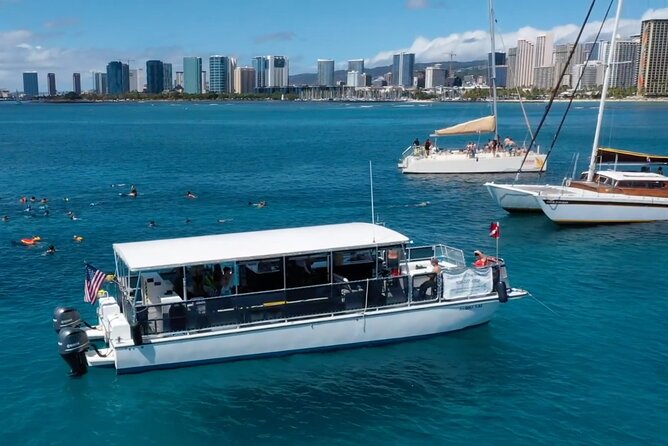 Waikiki Green Sea Turtle Snorkeling Tour - Boat Excursion - Possible Encounters with Dolphins and Whales