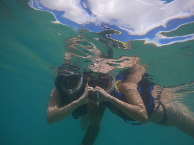 Waikiki: Honolulu Beginner Snorkeling Tour with Videos - Meet Your Instructor Near the Lifeguard Tower 1G