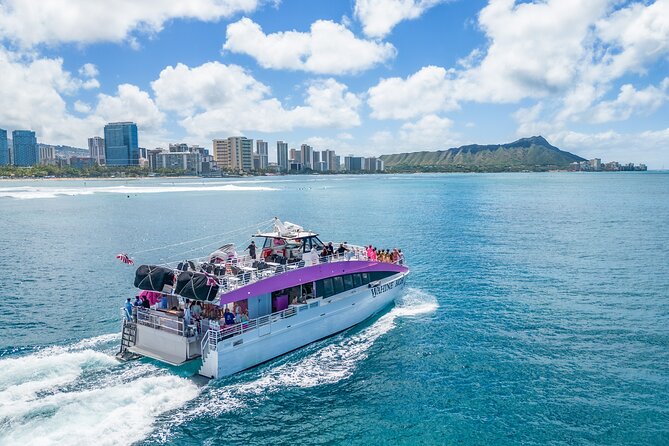 Waikiki, Oahu 2-Hour Whale Watching: Guaranteed Sightings - Scenic departure point in Waikiki