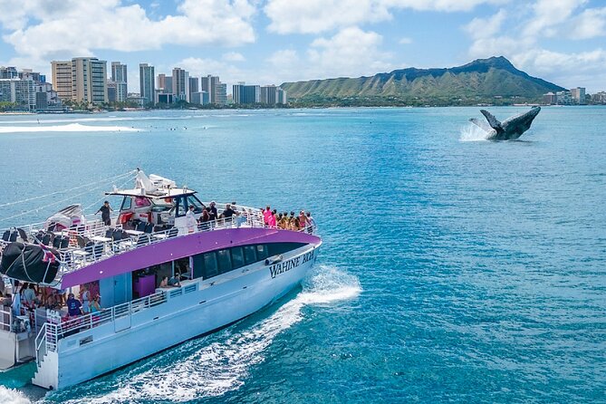 Waikiki, Oahu 2-Hour Whale Watching: Guaranteed Sightings - Overall value and who will enjoy this tour