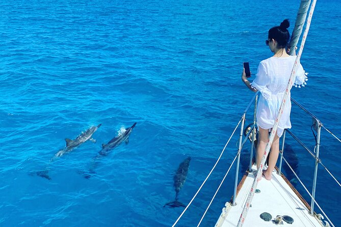 Waikiki small group turtle snorkeling & sailing - Departing from Ala Wai Boat Harbor at Dawn