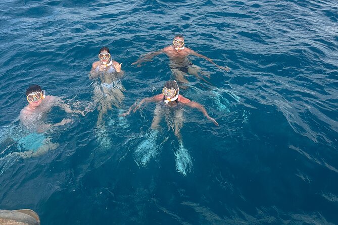Waikiki small group turtle snorkeling & sailing - Sighting Dolphins During the Sail Back