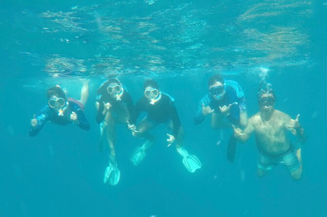 Waikiki small group turtle snorkeling & sailing - The Expertise of Guides Tony and Abe