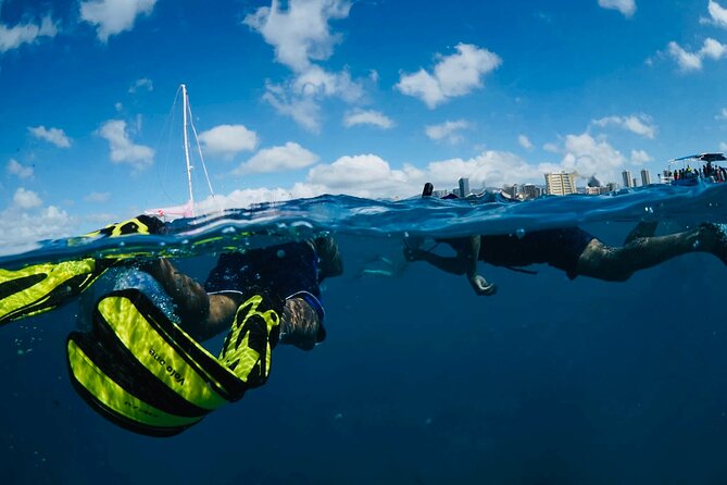 Waikiki Snorkel Tour - Family-Friendly Experience for Ages 3 and Up