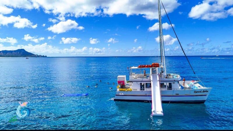 Waikiki Snorkeling and Ocean Waterpark Adventure - Experiencing Hawaii’s Marine Life with Premium Snorkeling Gear