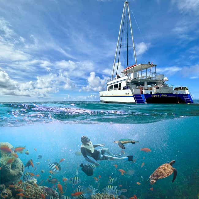 Waikiki Snorkeling and Ocean Waterpark Adventure - Water Park Fun with a 35-Foot Inflatable Waterslide