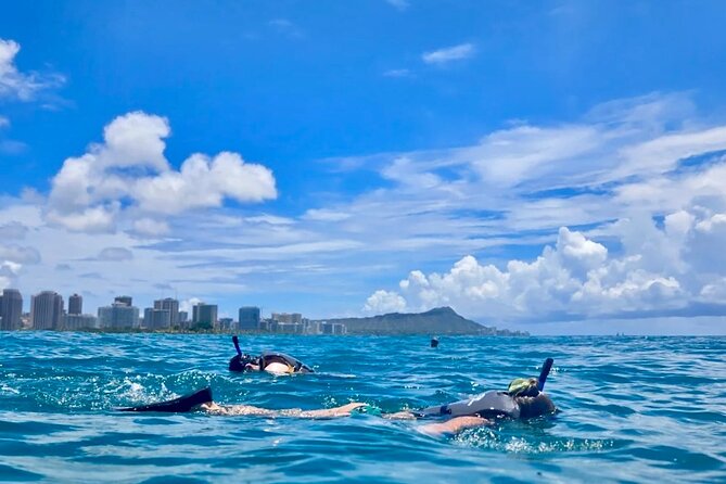 Waikiki Snorkeling & Ocean Waterpark Adventure from Oahu - Key Points