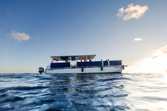 Waikiki Sunset Boat Cruise - Wildlife Watching: Dolphins, Turtles, and Whales