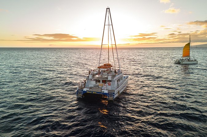 Waikiki Sunset Cruise from Oahu - Tips for a Smooth Experience