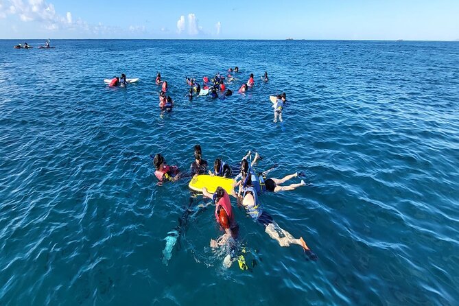 Waikiki Sunset & Wine Turtle Snorkeling Cruise - Practical Considerations and Optional Extras