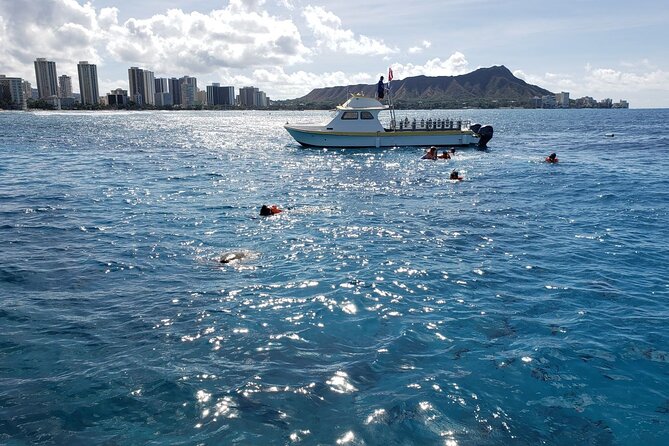 Waikiki Sunset & Wine Turtle Snorkeling Cruise - Who Will Love This Tour?