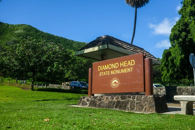 Waikiki Trolley Blue Line Coastline & Local Grindz Hop-on Hop-off - Accessibility and Group Size