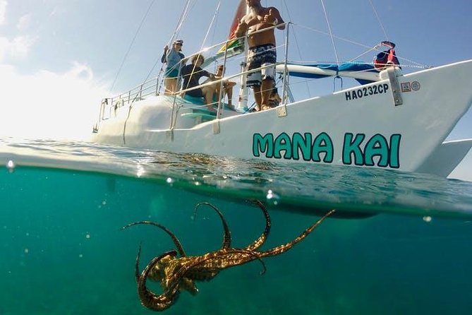 Waikiki Turtle Snorkel & Sail combo on Hawea Catamaran - How the Tour Combines Sailing and Snorkeling at Turtle Canyon