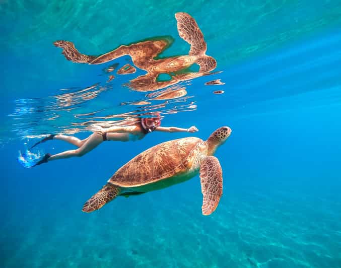 Waikiki: Turtle Snorkeling Cruise with 20ft Jumping Platform - Snorkeling in Hawaii’s Clear Waters